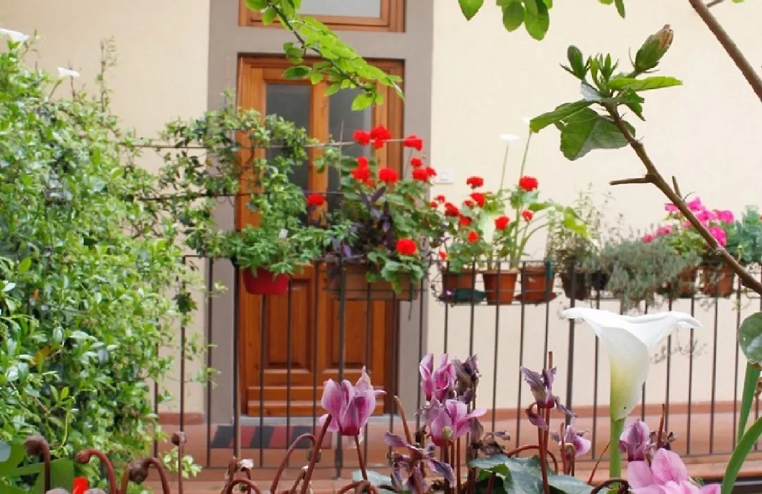 Faenza Novella-1